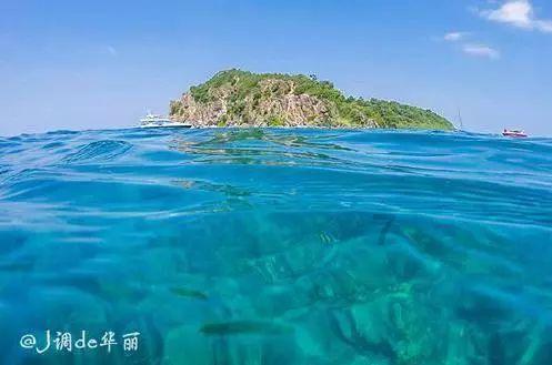 狂野的飙客